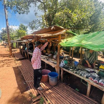 ကောလာဟလသတင်းများကြောင့် ဒီးမော့ဆိုနေ ပြည်သူများ အကျိုးစီးပွါး ထိခိုက်လာဟုဆို