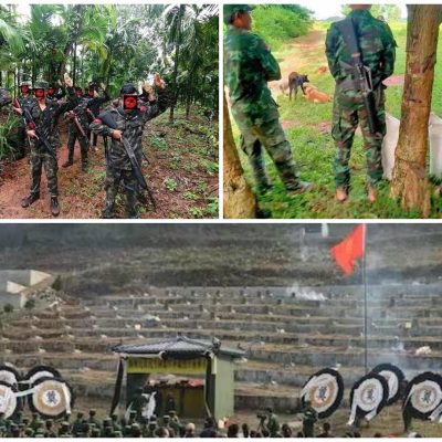 တပ်ပြေးပြဿနာများကို နိုင်ငံရေးနည်းလမ်းဖြင့် အဖြေရှာရန်လိုအပ်ဟုဆို