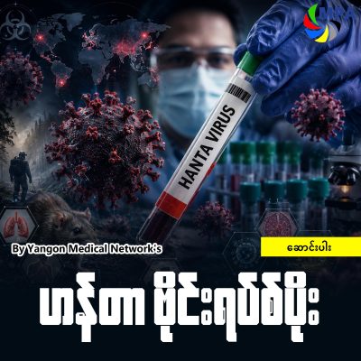 ဟန်တာ ဗိုင်းရပ်စ်ပိုး