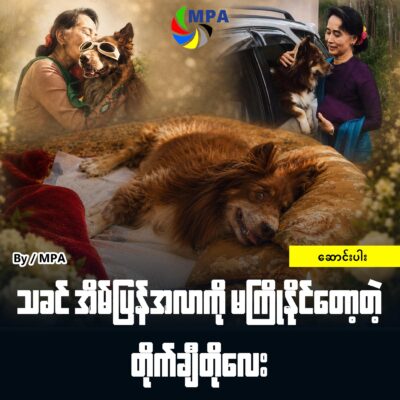 သခင် အိမ်ပြန်အလာကို မကြိုနိုင်တော့တဲ့ တိုက်ချီတိုလေး