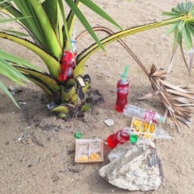 ပတ္တရားက နတ်ပူဇော်စာ အုန်းသီးကို ဓာတ်ပုံရိုက်ဖော်လုပ်မိ၍ တောင်းပန်ခဲ့ရသည့် ရုရှားအမျိုးသမီးများ