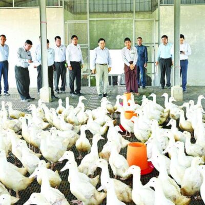 ကြက်ဥတစ်လုံး ၇၀၀ မက်ခရိုစီးပွားရေး မတည်ငြိမ်မှု၏ နောက်ဆက်တွဲ ဆိုးကျိုးဖြစ်၊ ယခုအတိုင်း ဆက်သွားလျှင် အခြေအနေပိုဆိုးလာမည်ဟု NLDဝန်ကြီး သတိပေး