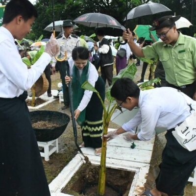 ကျောင်းသားတစ်ဦး ဌက်ပျော၂ပင် စိုက်ရန် မွန်အစိုးရတု ညွှန်ကြား၊ ယတြာဌက်ပျော မင်းအောင်လှိုင် စိုက်ခိုင်းဟုဆို